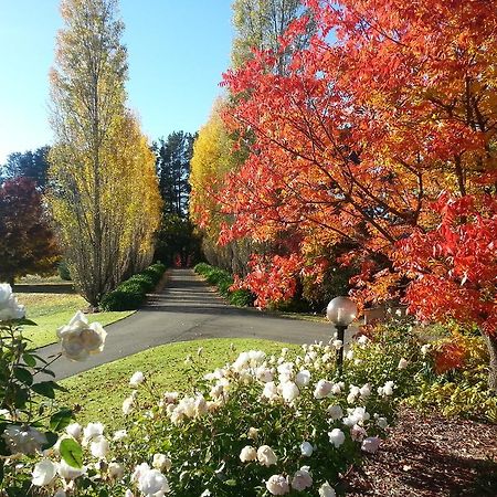 Melview Greens Orange Bagian luar foto