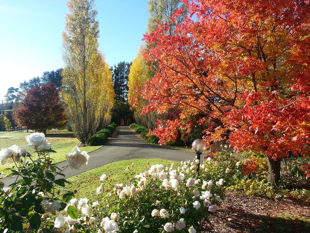 Melview Greens Orange Bagian luar foto
