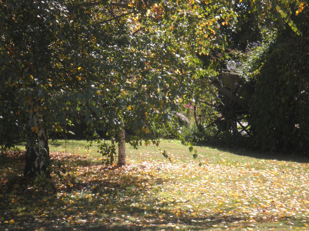 Melview Greens Orange Bagian luar foto